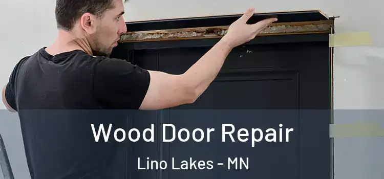 Wood Door Repair Lino Lakes - MN